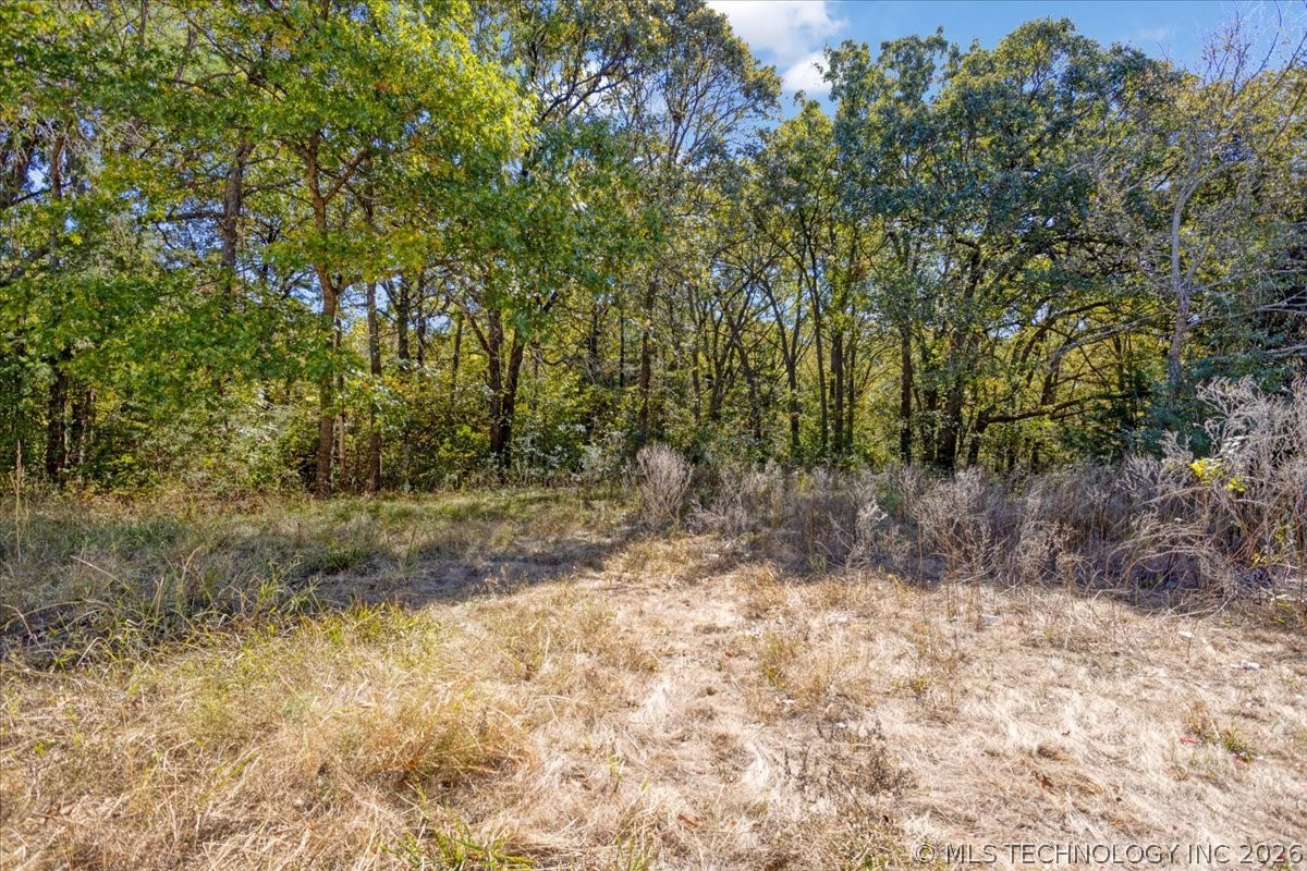 136 Pine Street Property Photo 33