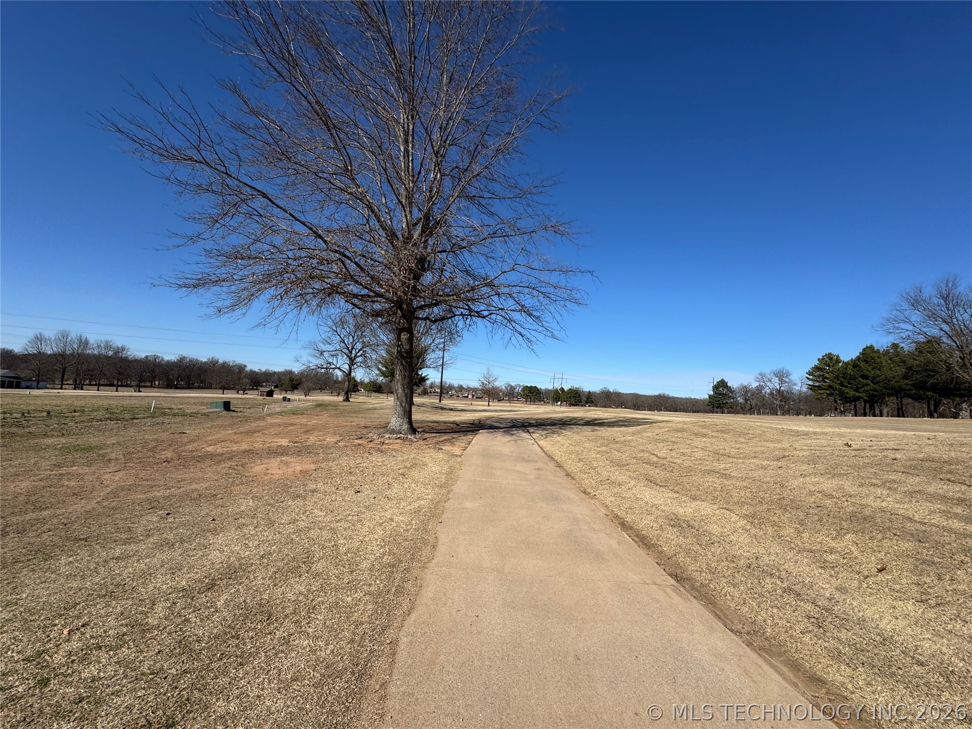 1270 Wilcox Circle Property Photo 13