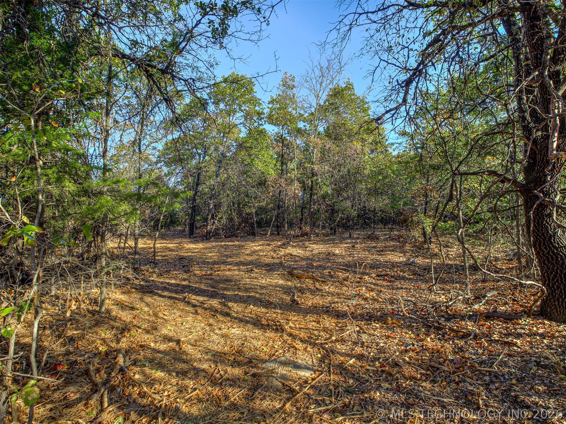 4 E 1165 Road Property Photo 10