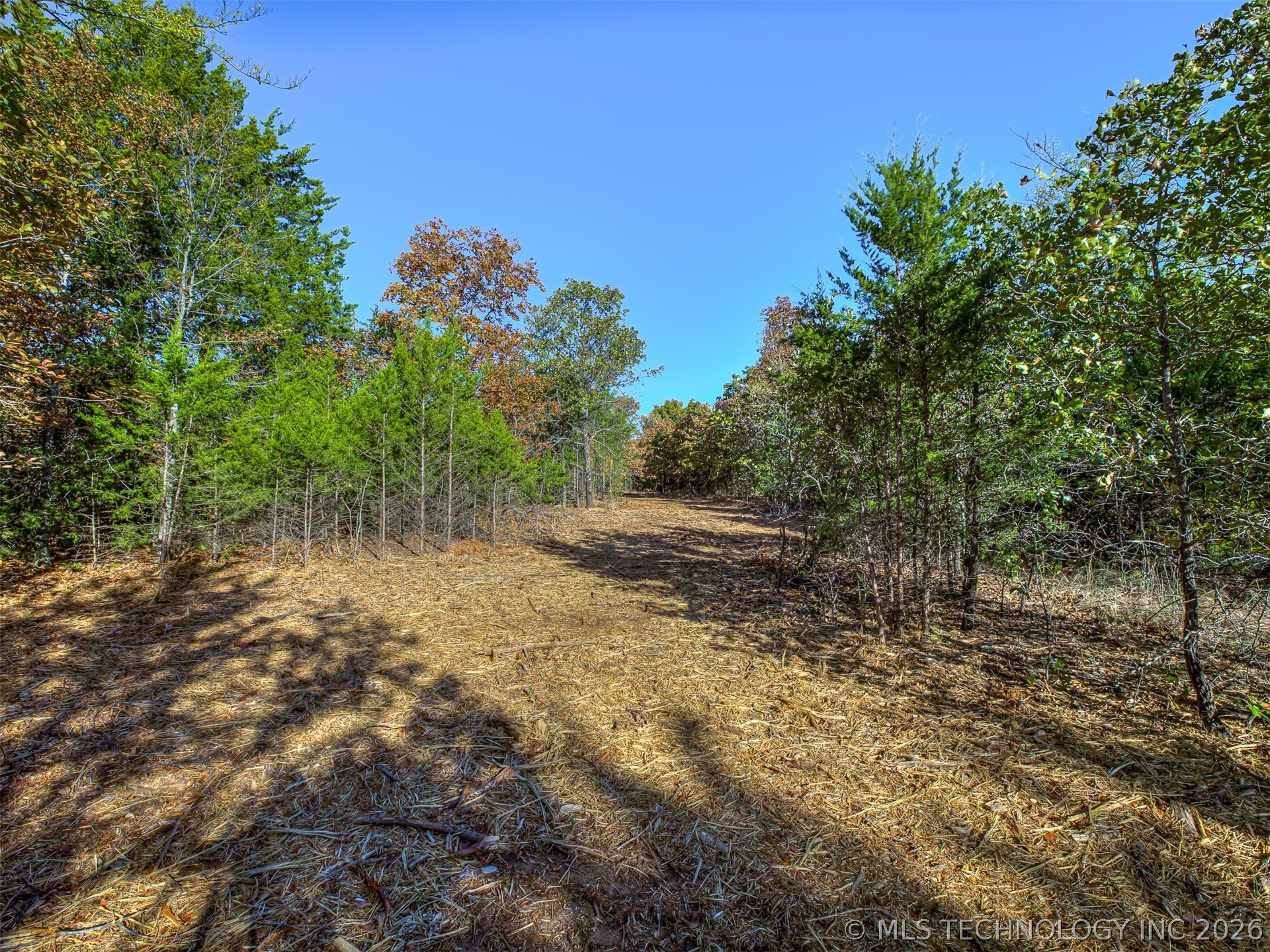 4 E 1165 Road Property Photo 14