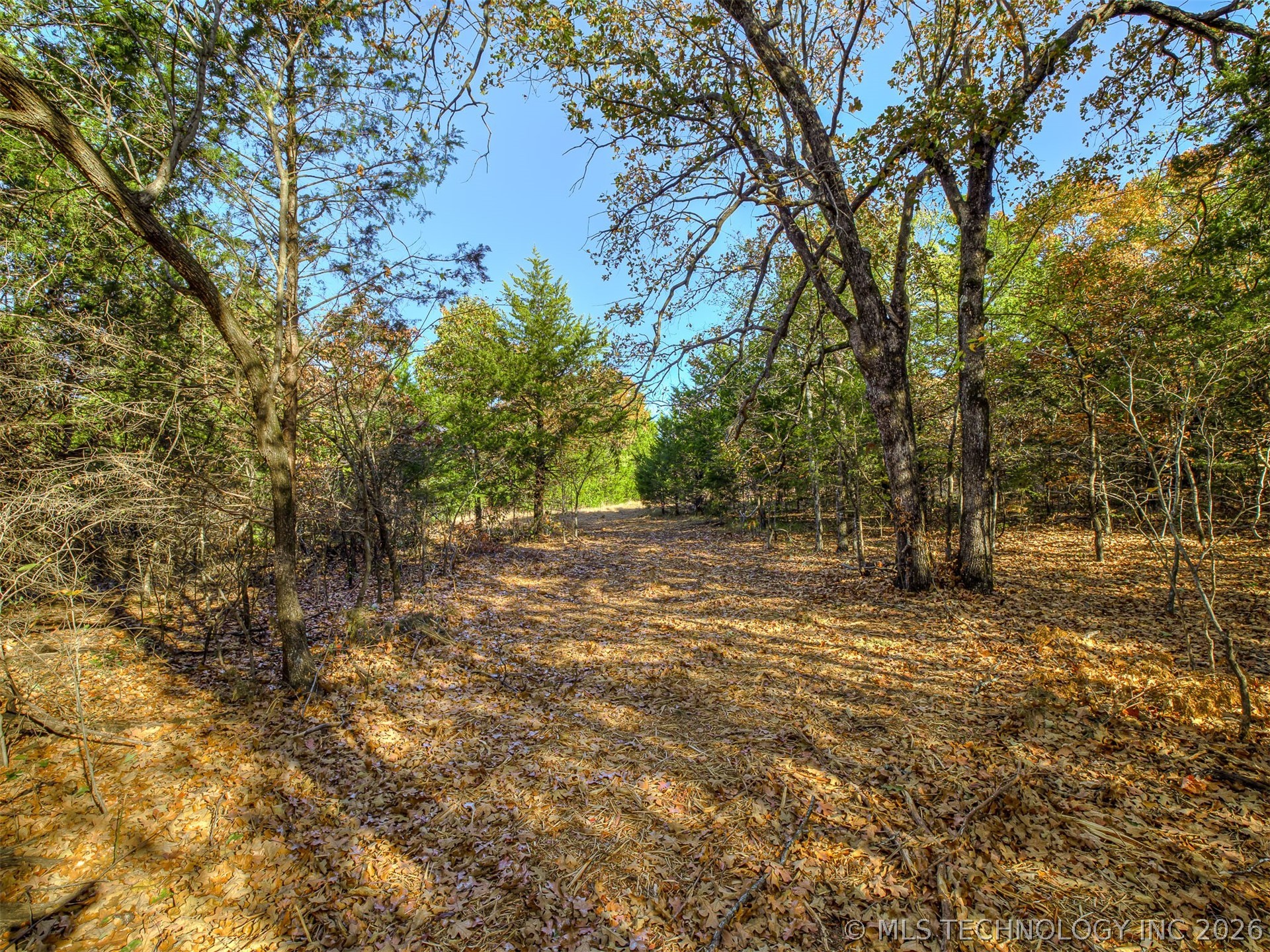 4 E 1165 Road Property Photo 16