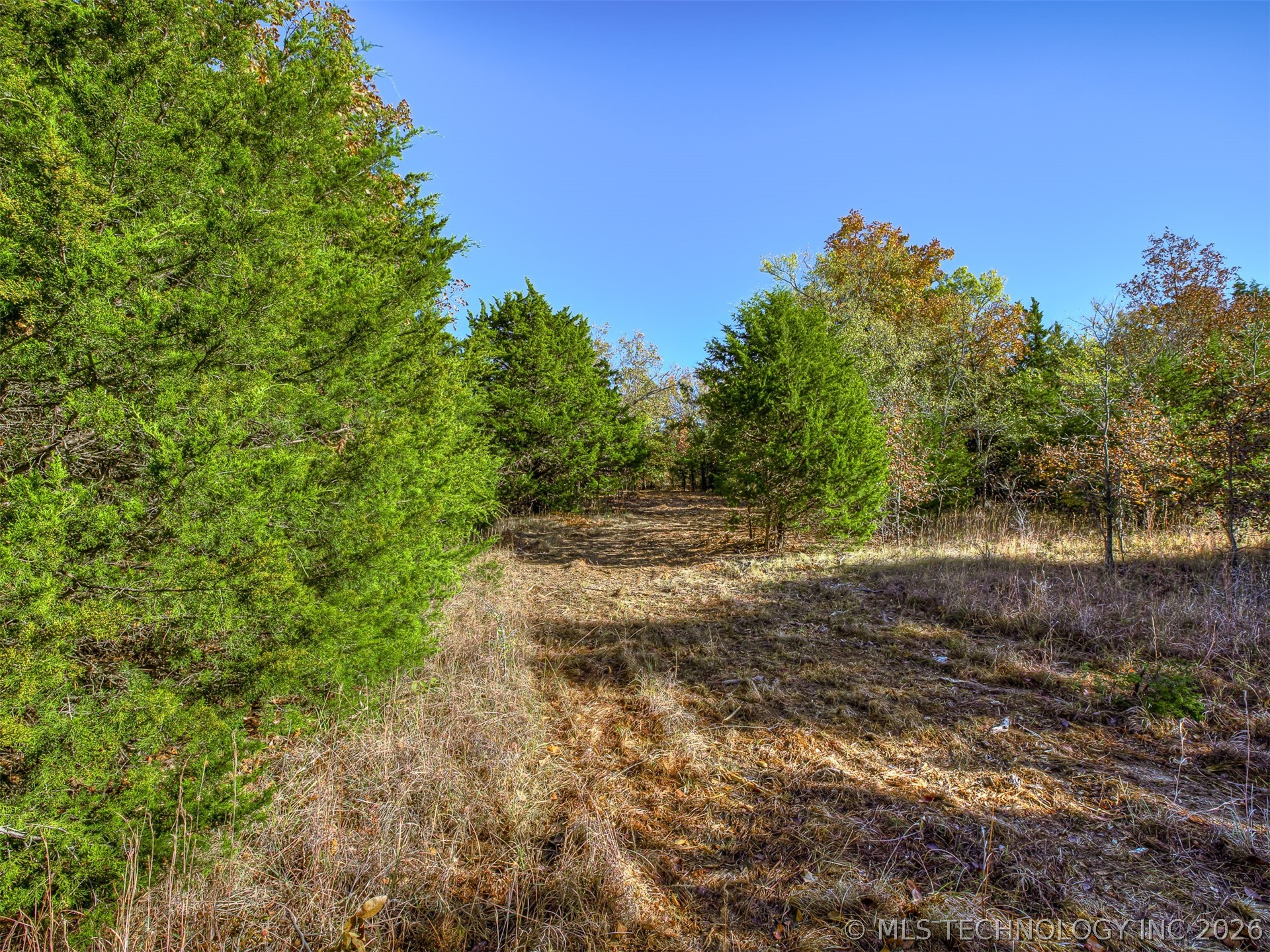 4 E 1165 Road Property Photo 17