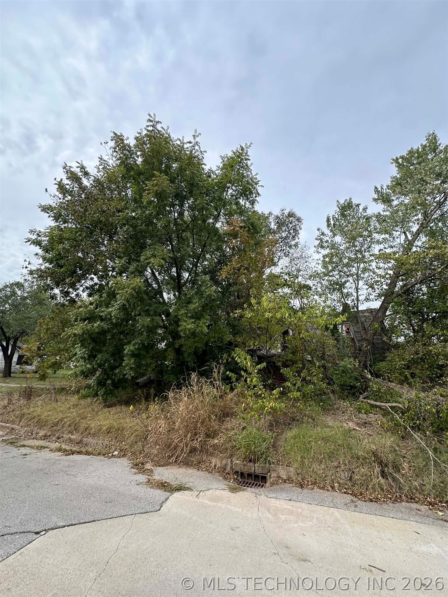 13th Street Property Photo 3