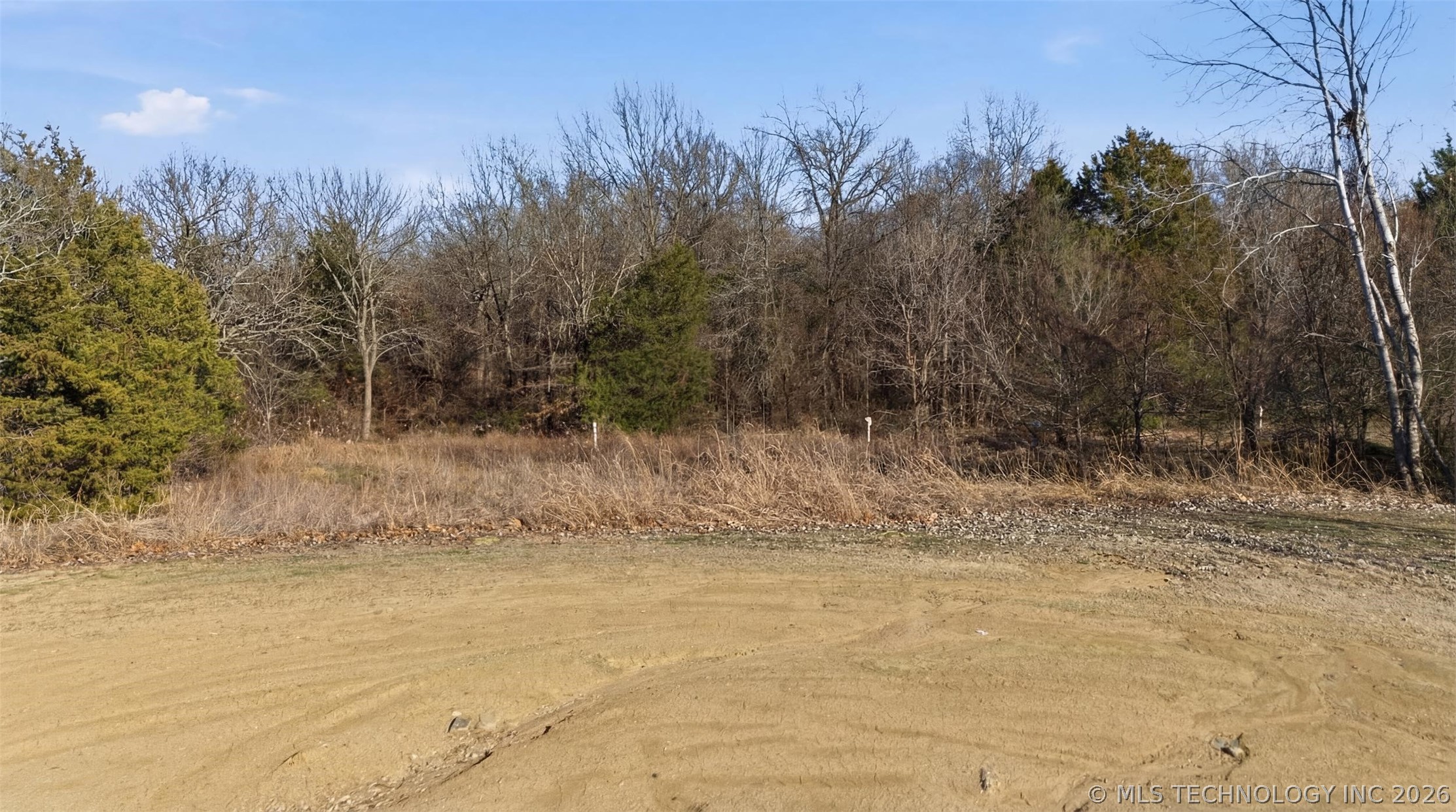 Wolfe Lane Property Photo 6