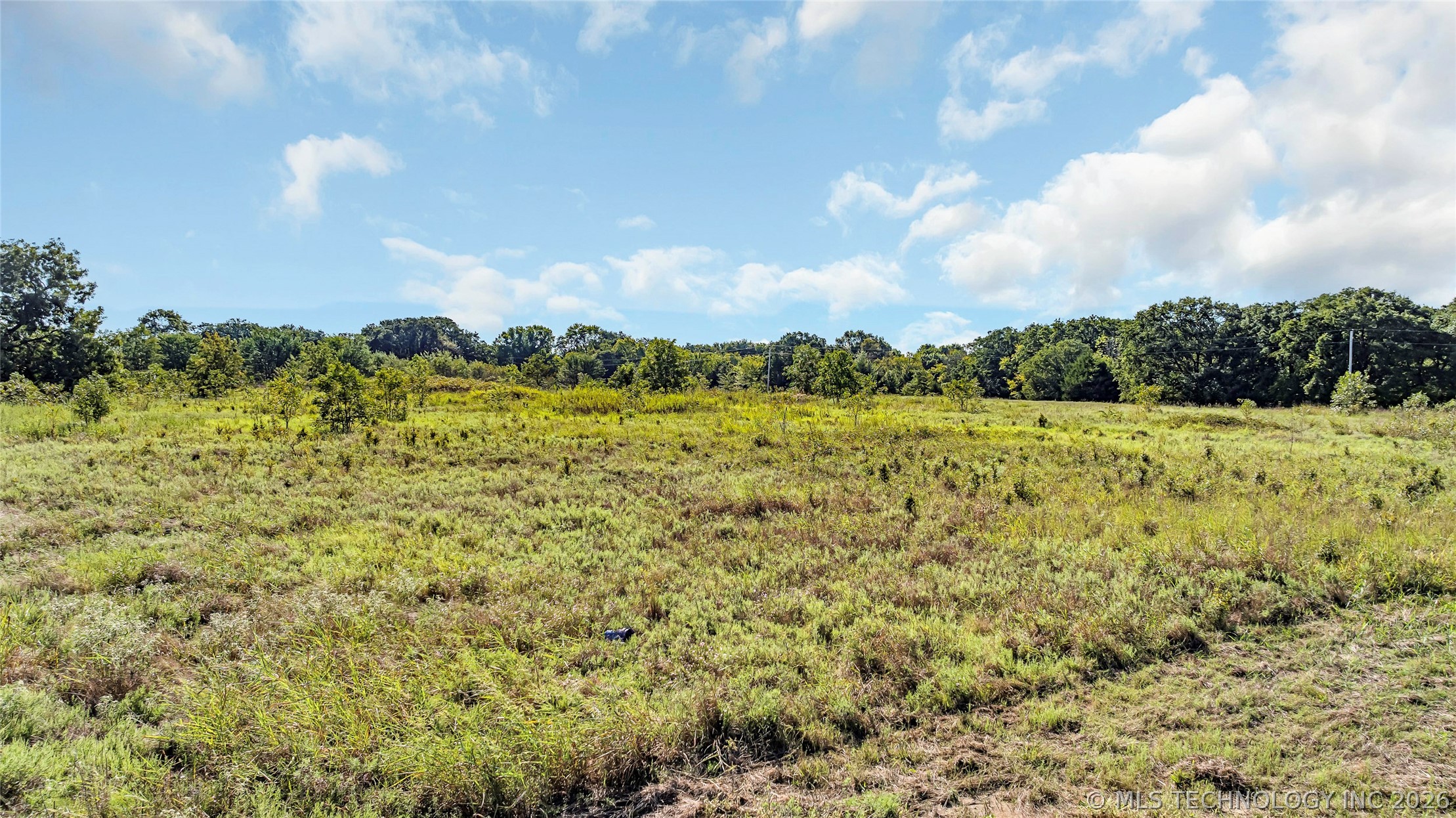 12367 Renick Property Photo 11