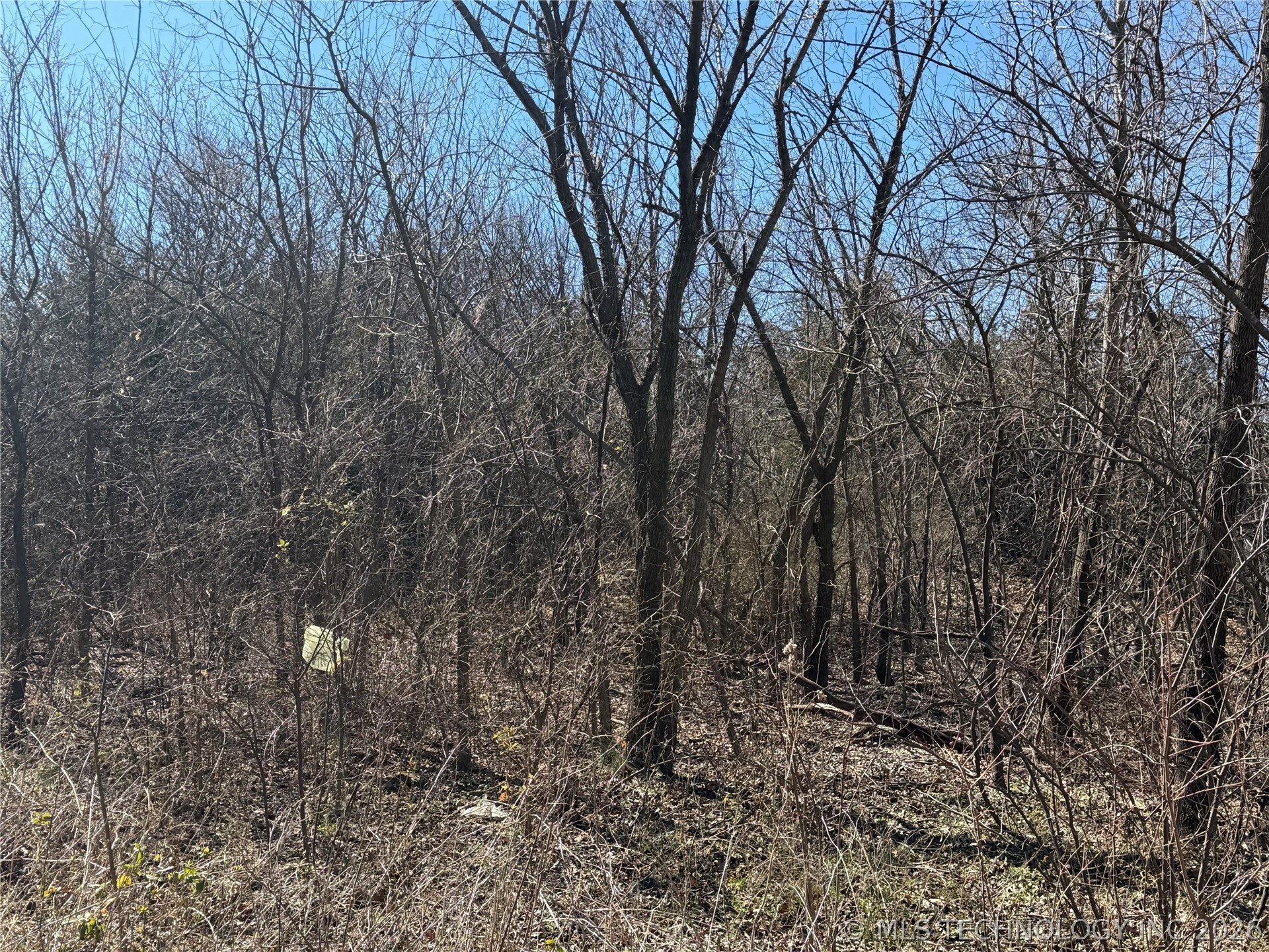 1 Martin Luther King Avenue Property Photo 2