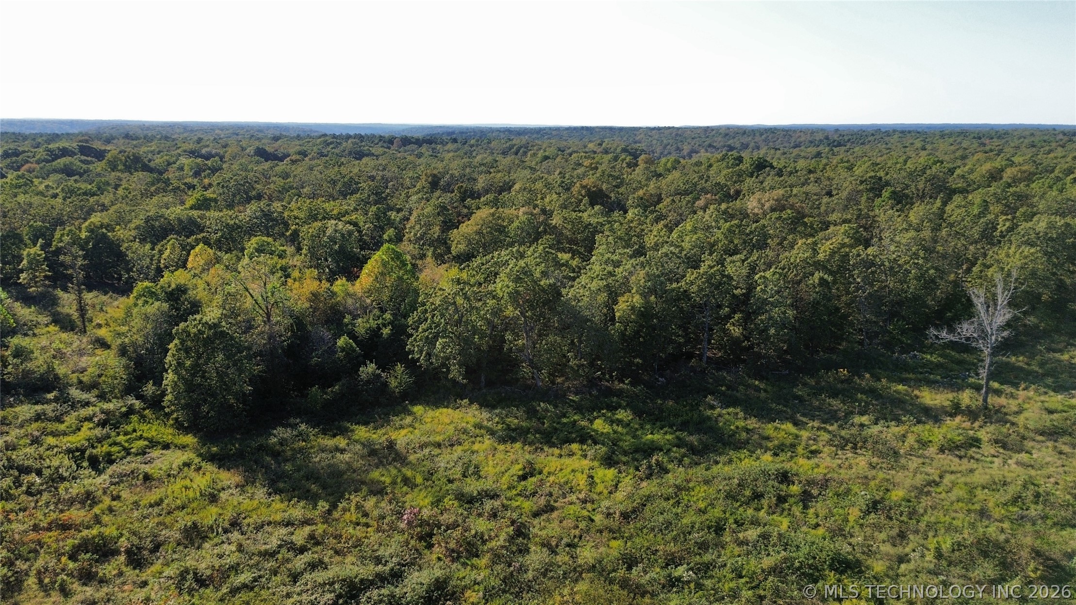 51359 Us Hwy 59 Property Photo 13