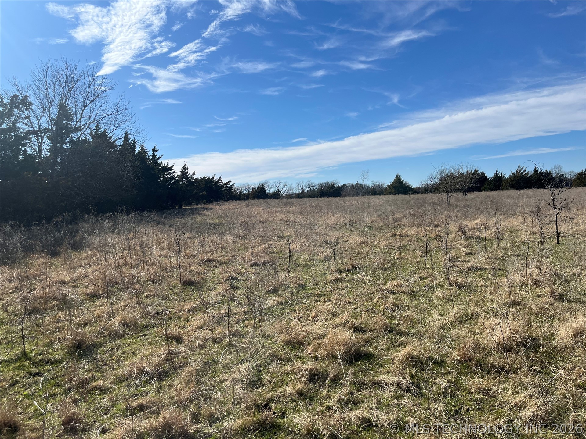 0 Dancing Rabbit Road Property Photo 7
