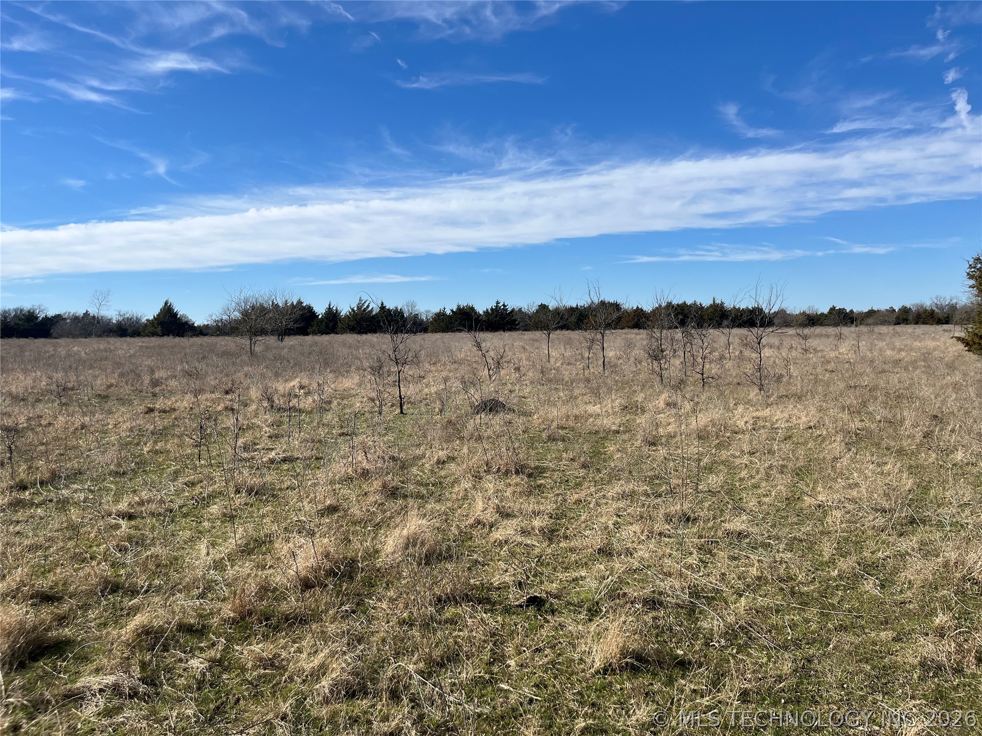 0 Dancing Rabbit Road Property Photo 8