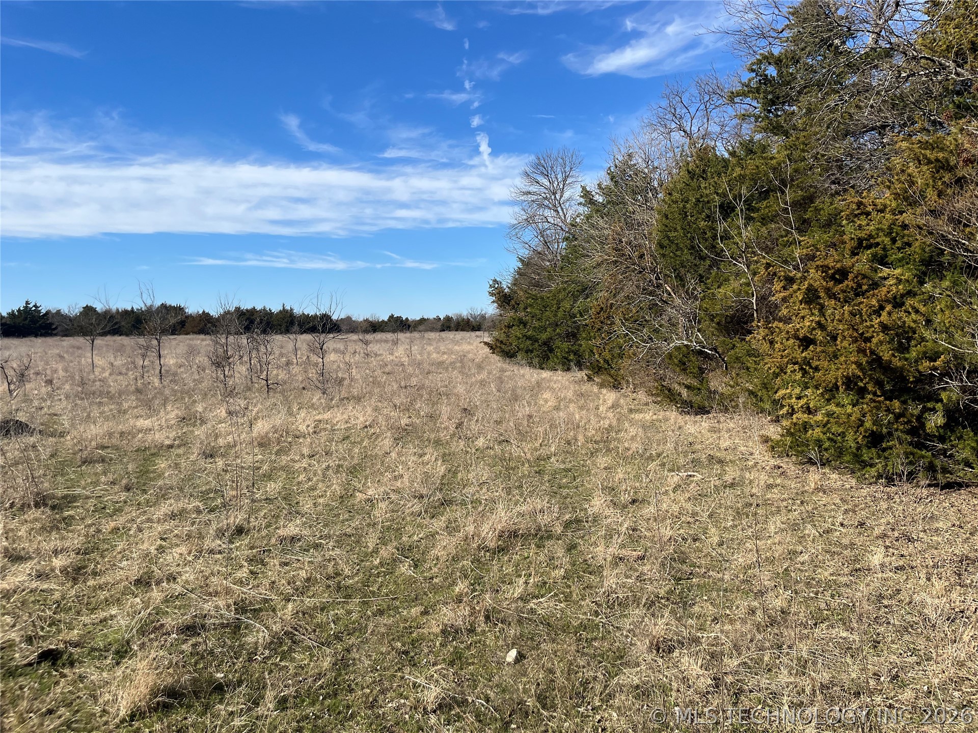 0 Dancing Rabbit Road Property Photo 9