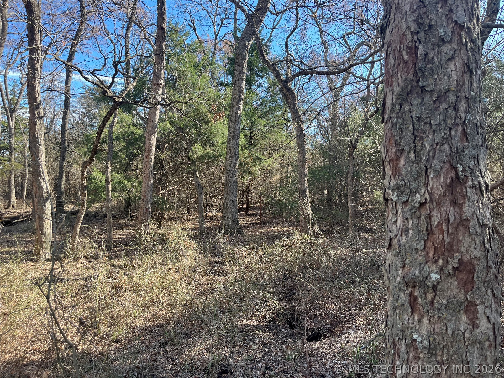 0 Dancing Rabbit Road Property Photo 10
