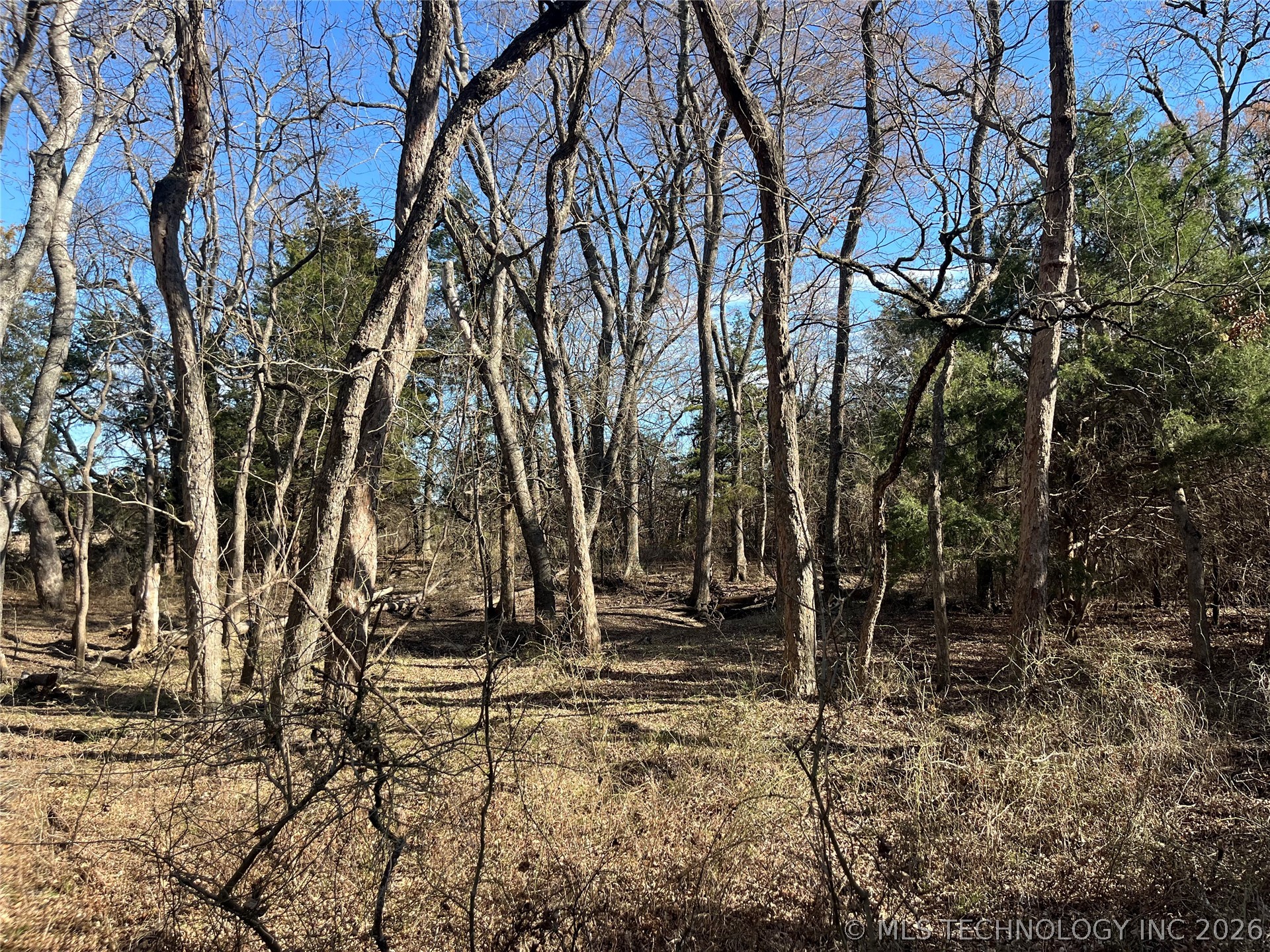 0 Dancing Rabbit Road Property Photo 11