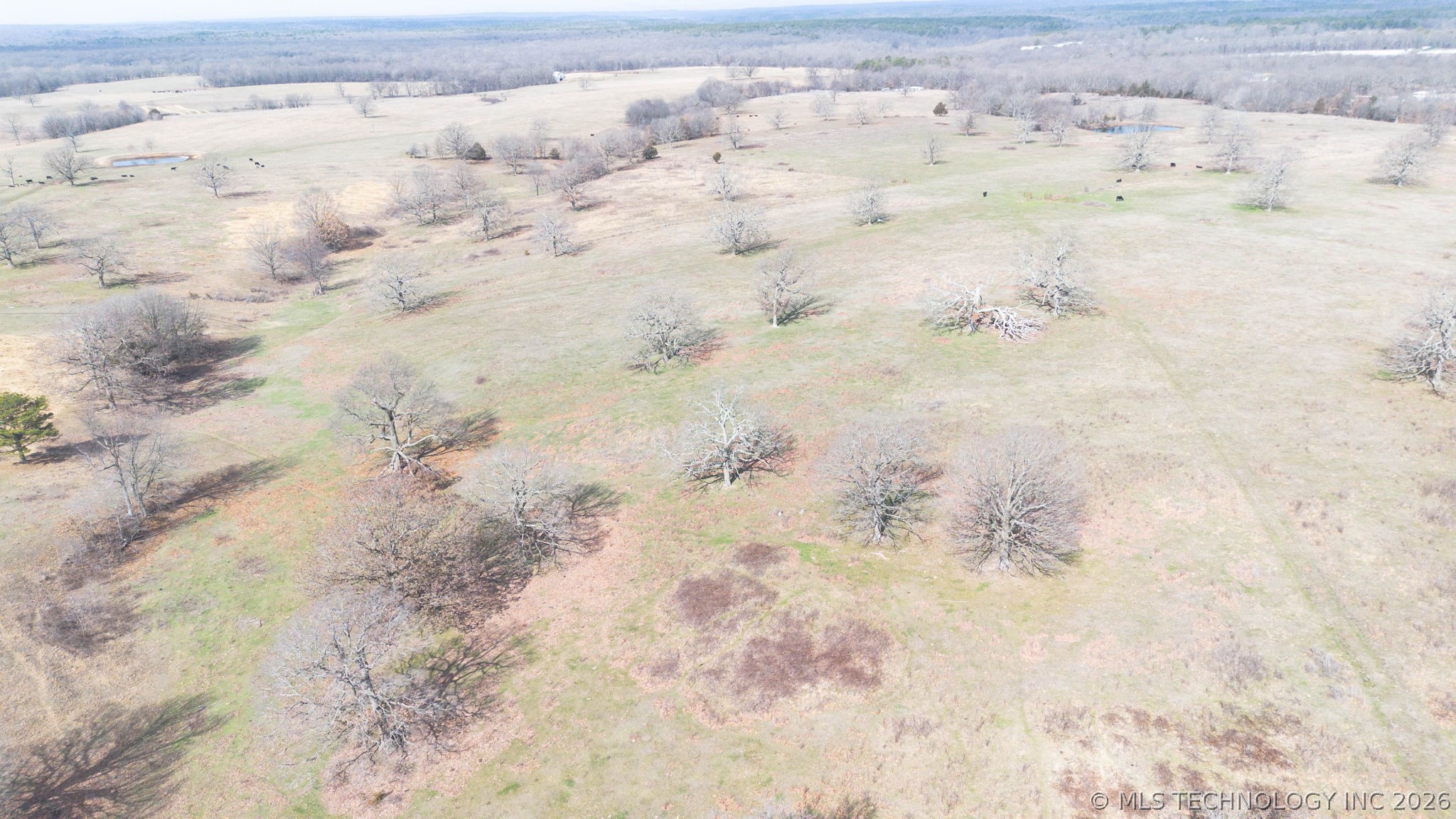 Us Hwy 59 Property Photo 9