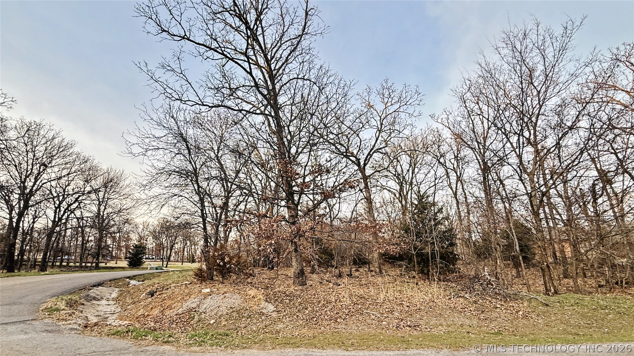 16884 N Winslow Drive Property Photo 7