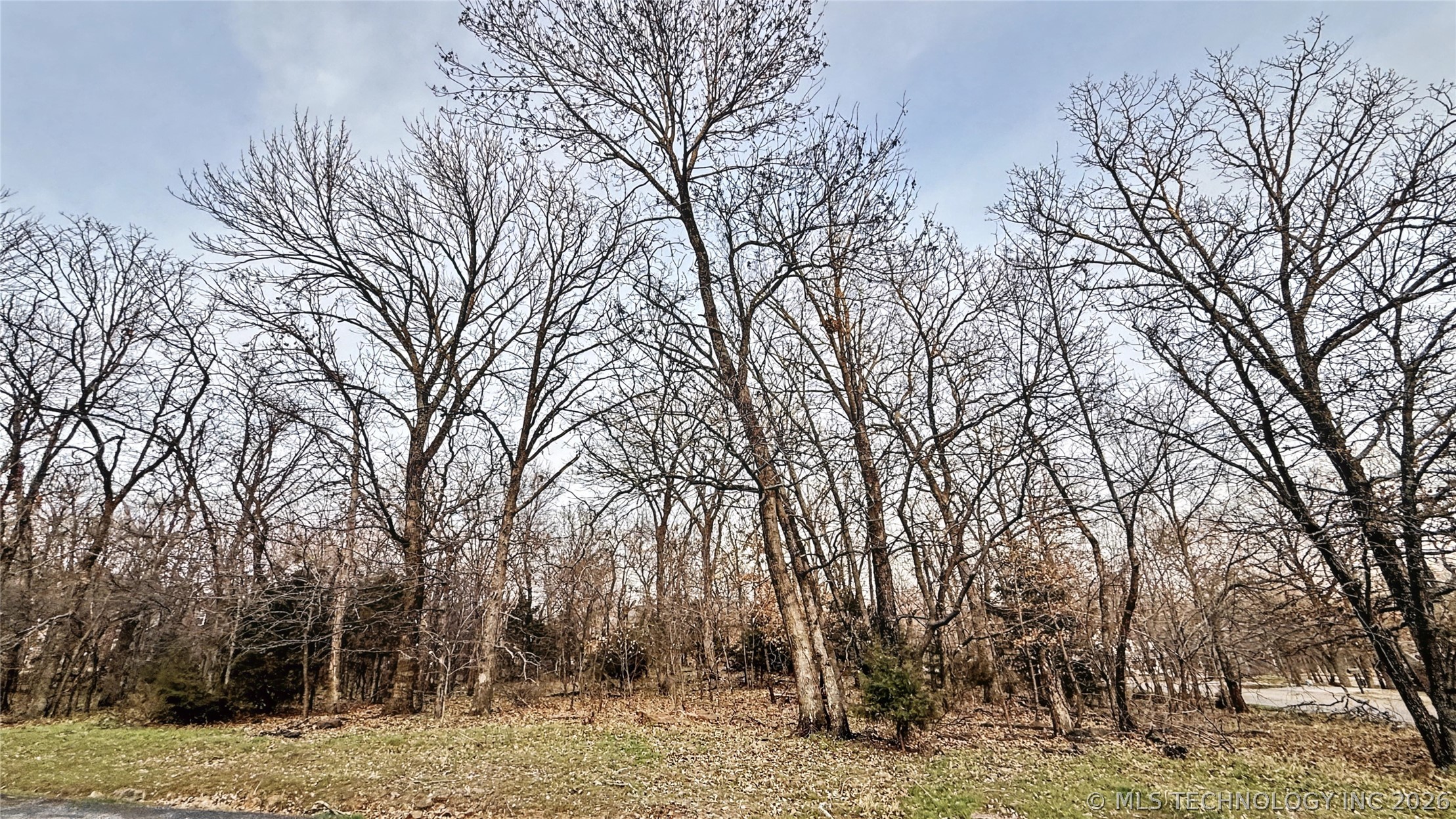 16884 N Winslow Drive Property Photo 10