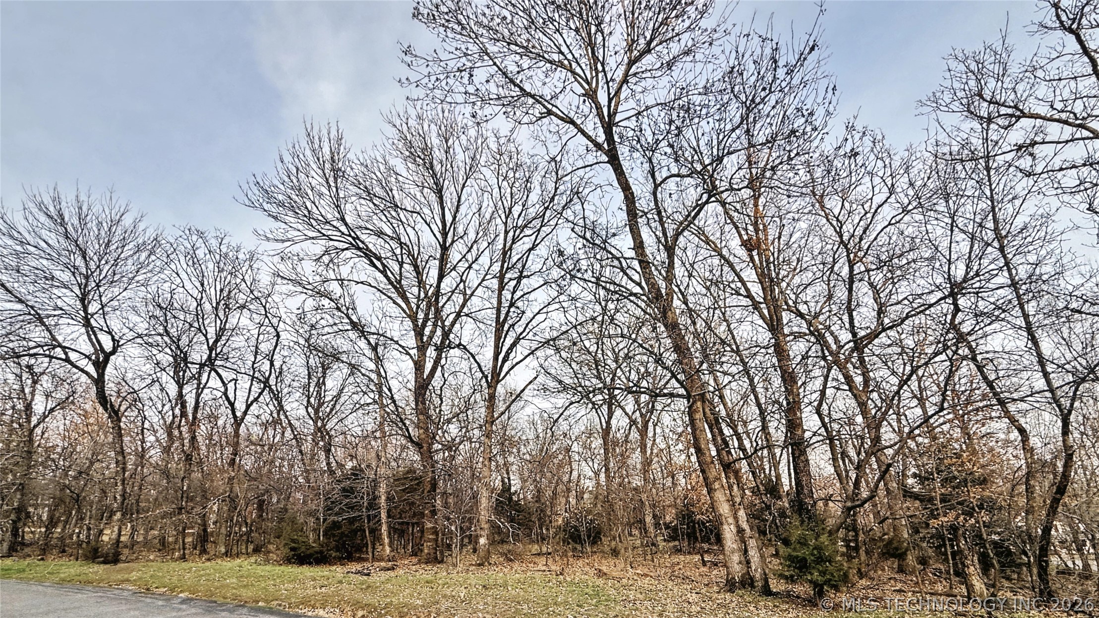 16884 N Winslow Drive Property Photo 11