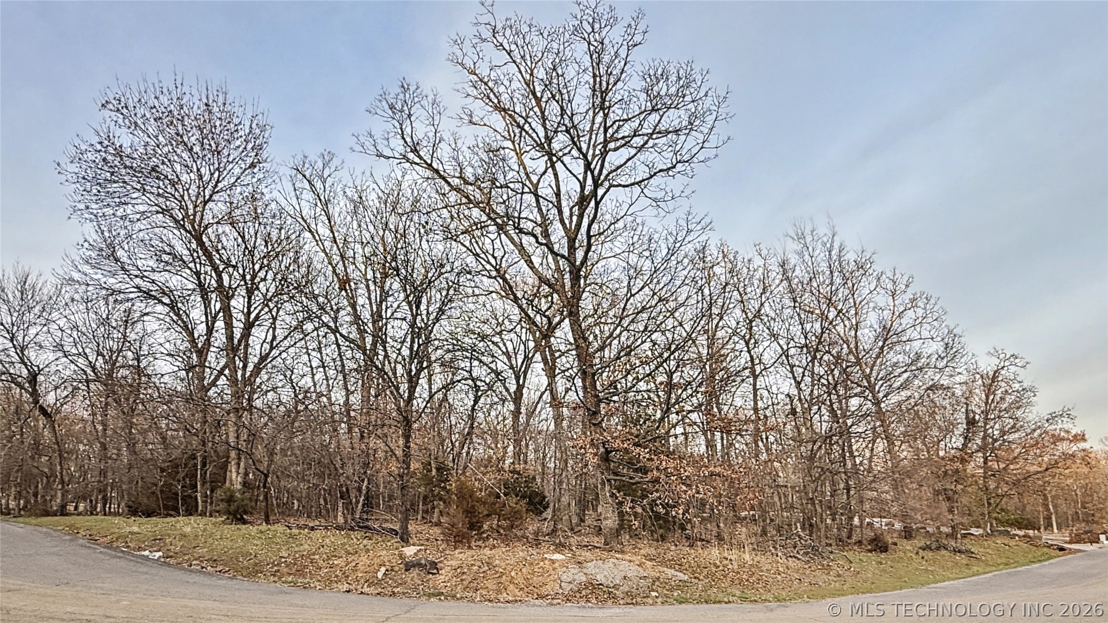 16884 N Winslow Drive Property Photo 12