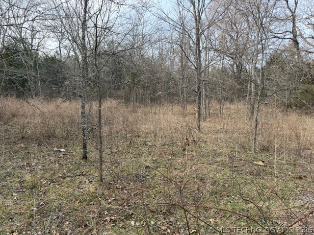 Bengal Road Property Photo 2