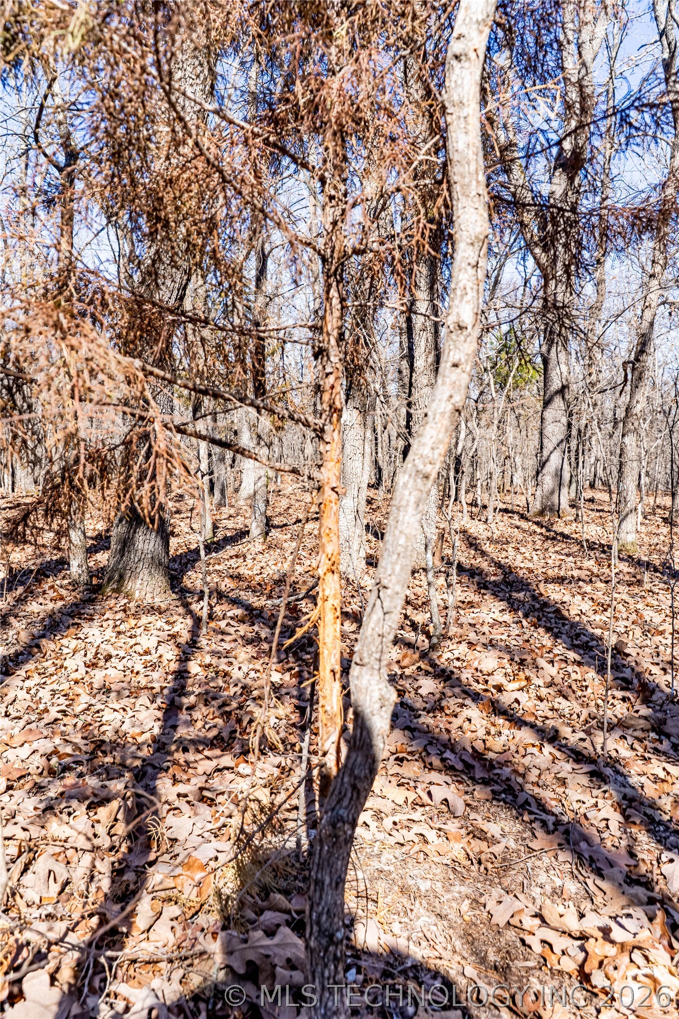 0000 N 3700 Road Property Photo 18