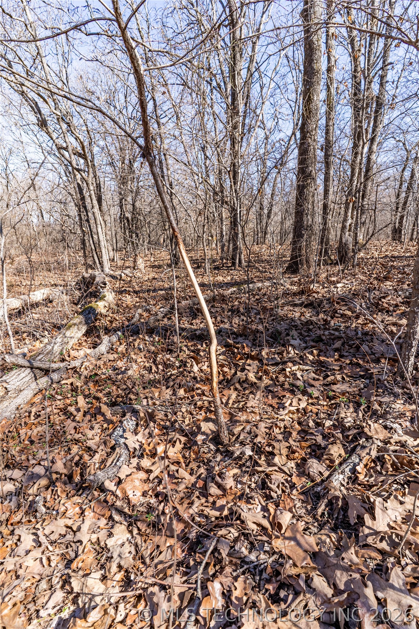 0000 N 3700 Road Property Photo 21