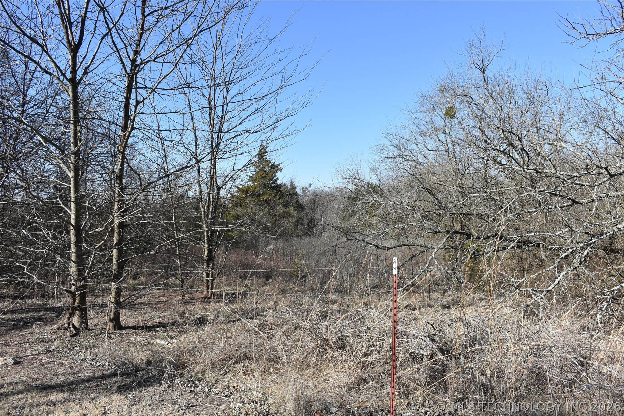 2606782 Property Photo 5