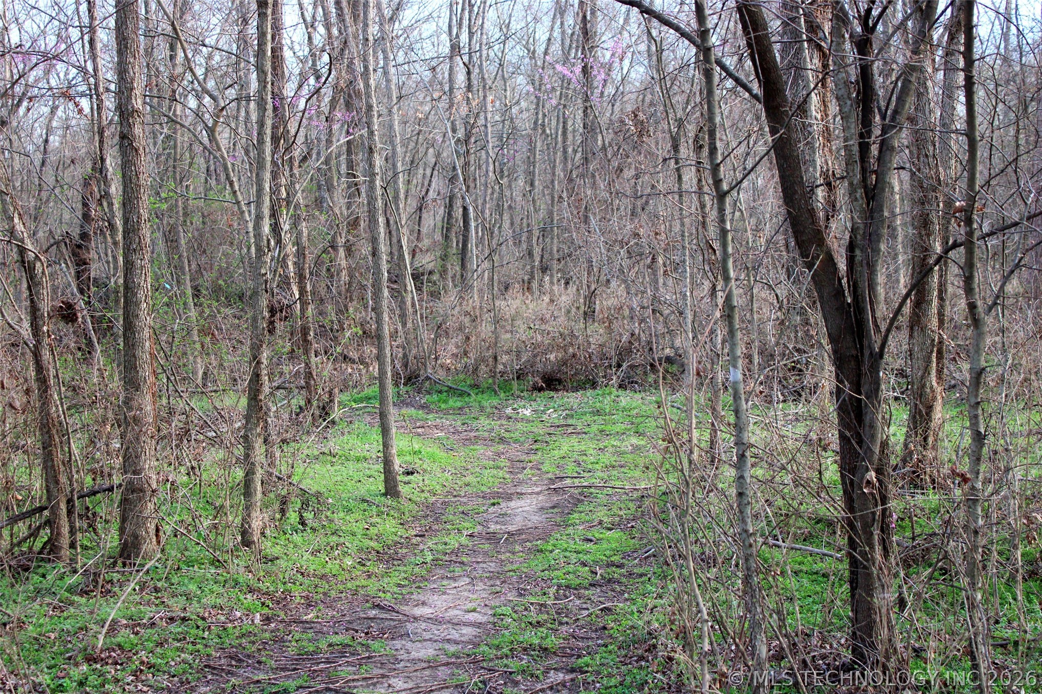 14902 E 370 Road Property Photo 46