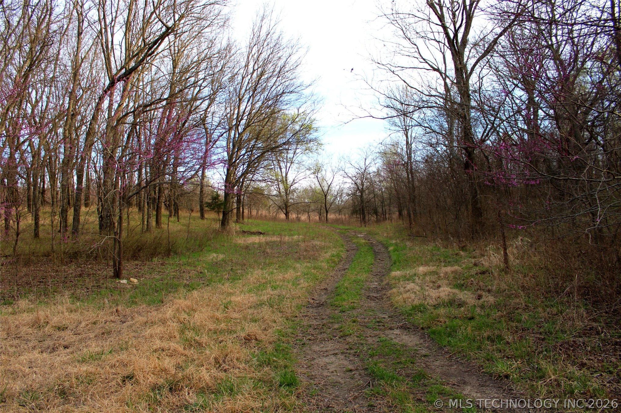 14902 E 370 Road Property Photo 51