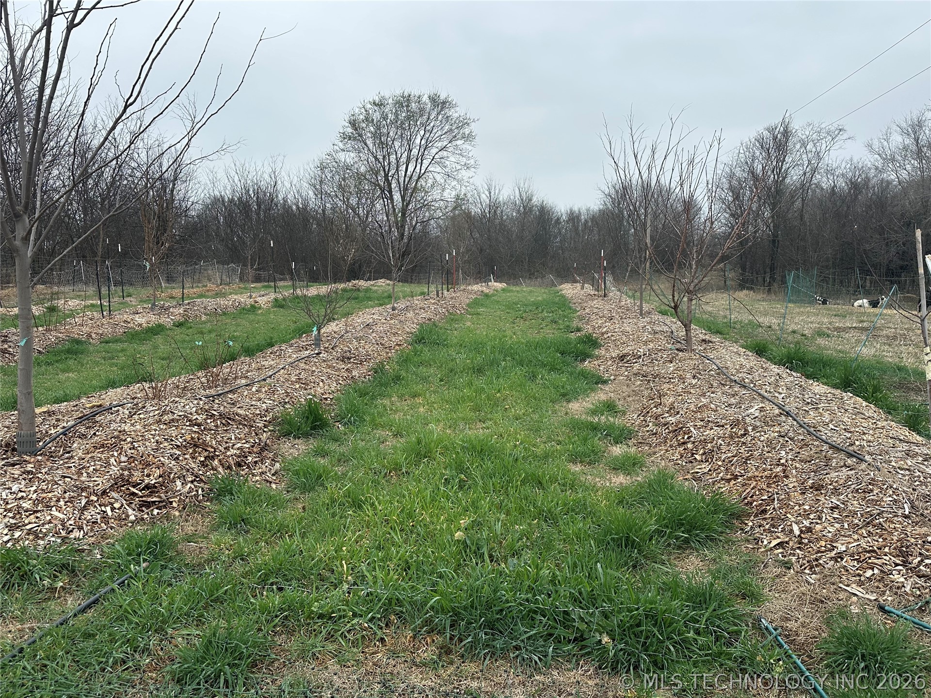 14902 E 370 Road Property Photo 62
