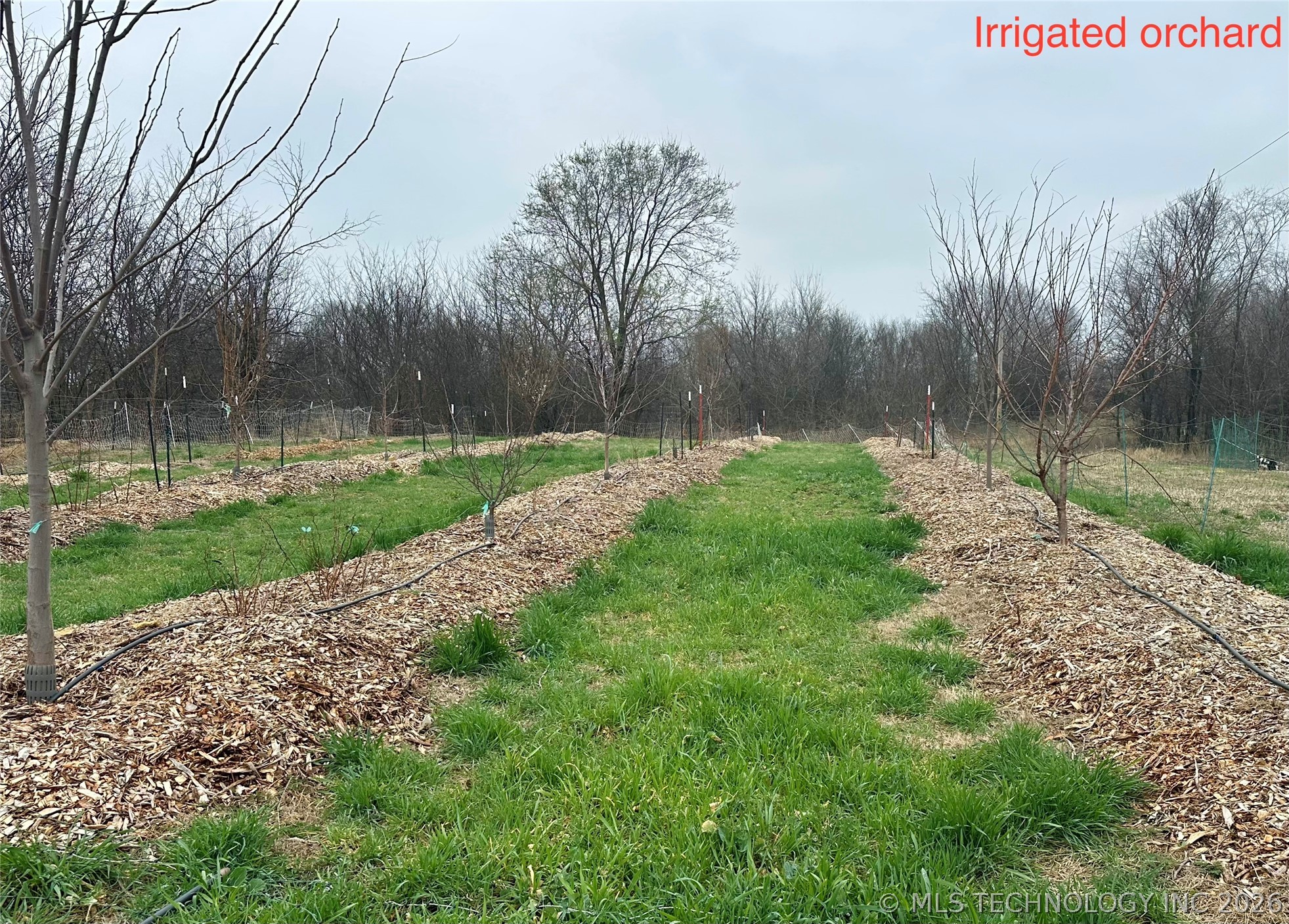 14902 E 370 Road Property Photo 63
