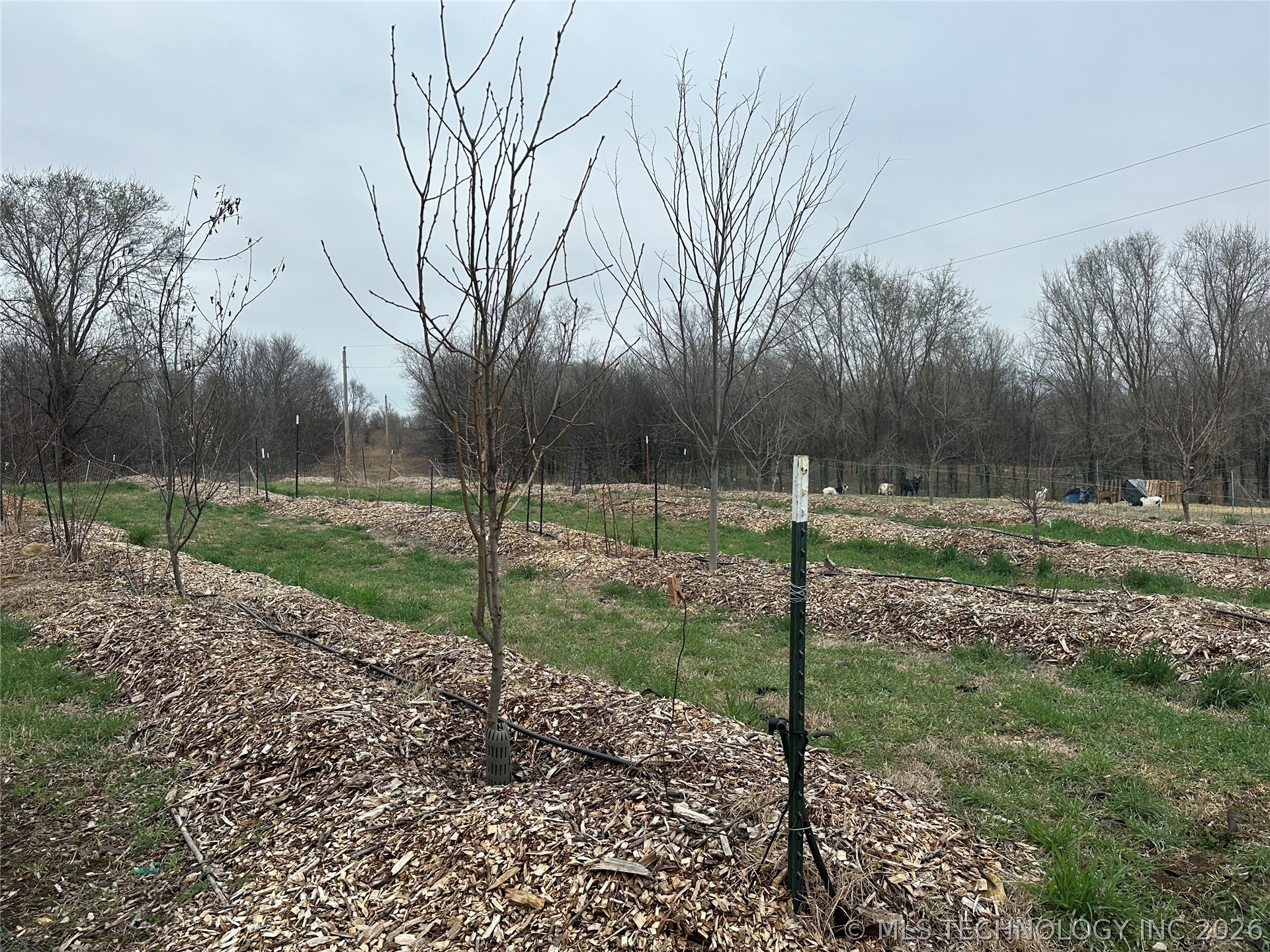 14902 E 370 Road Property Photo 64