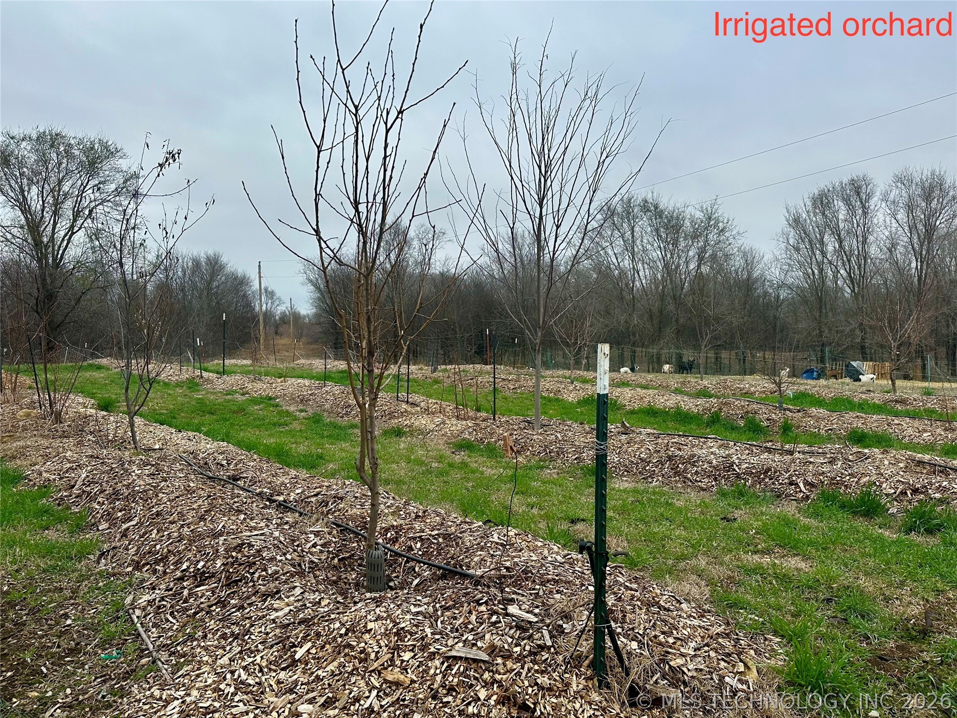 14902 E 370 Road Property Photo 65