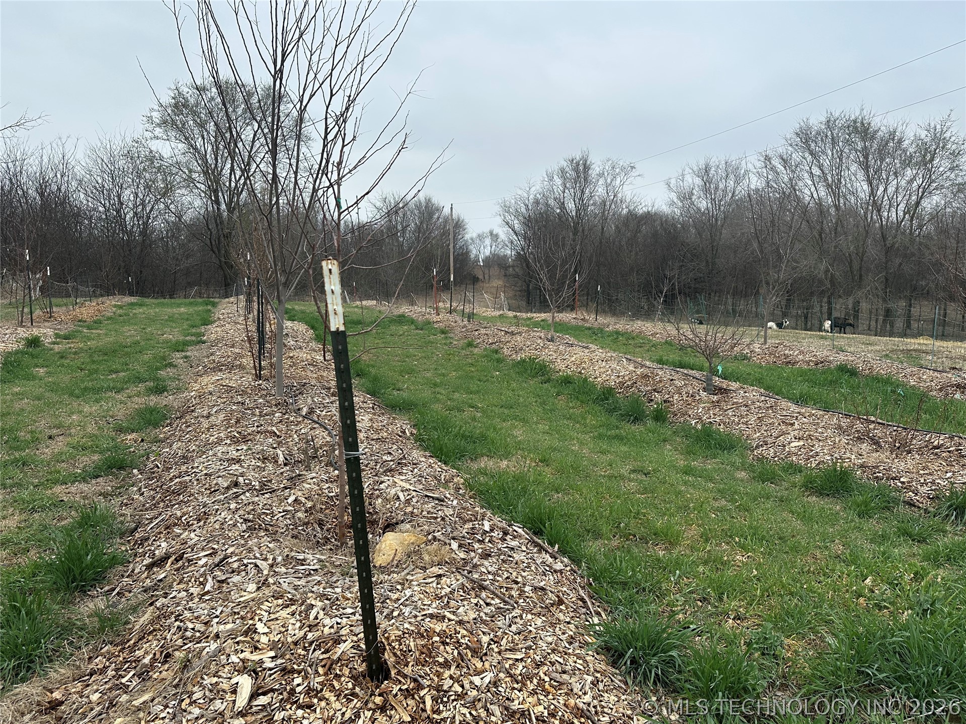 14902 E 370 Road Property Photo 66