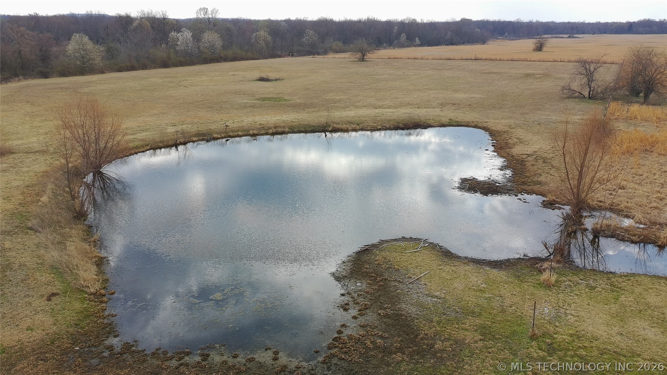 2071 E 53rd Property Photo 48