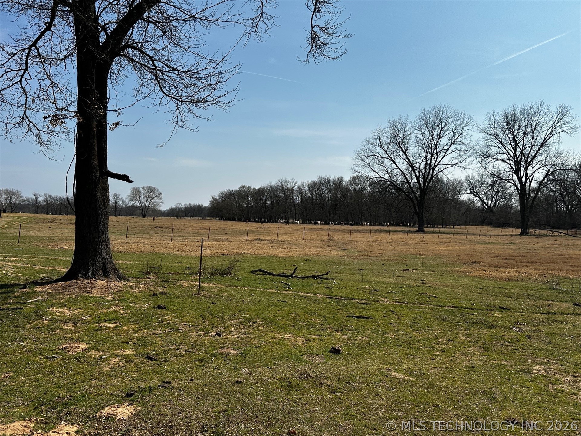 County Road 3680 Property Photo 8