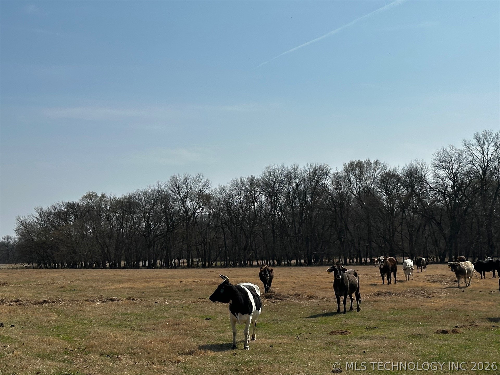 County Road 3680 Property Photo 11