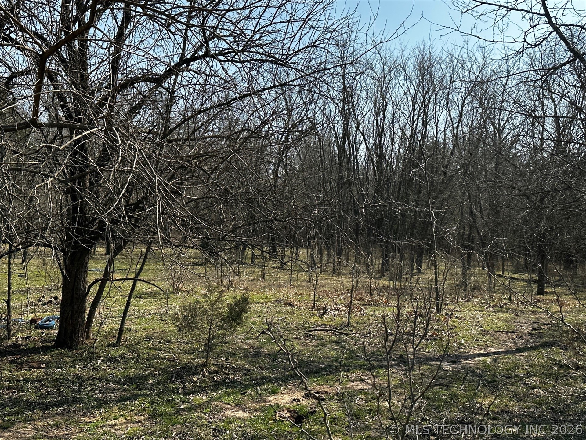 County Road 3680 Property Photo 17
