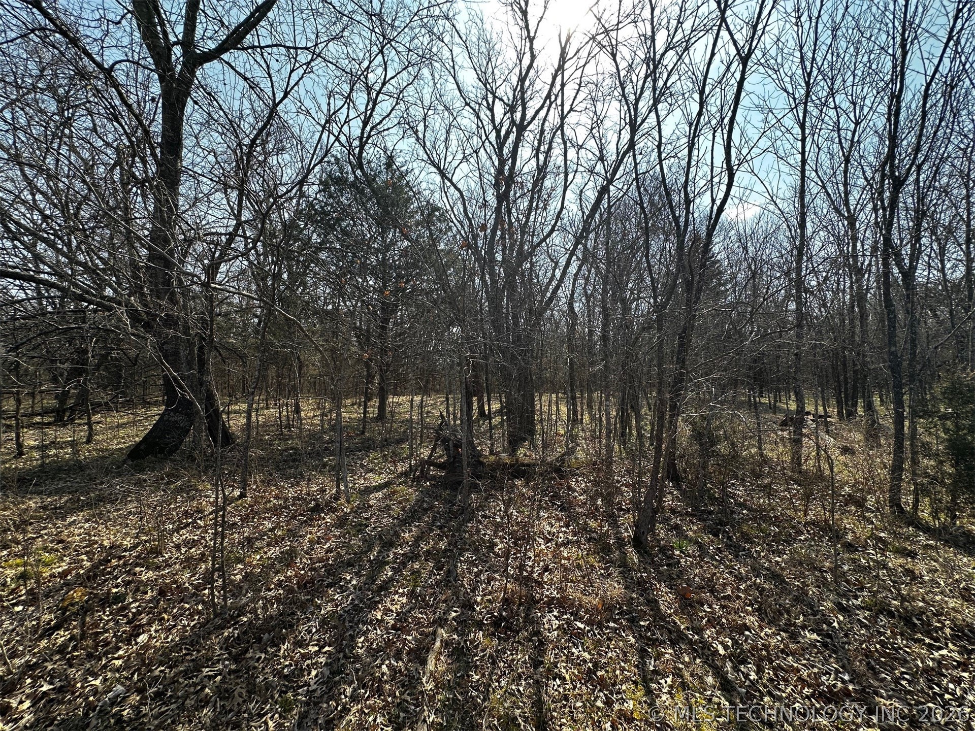 County Road 3680 Property Photo 22
