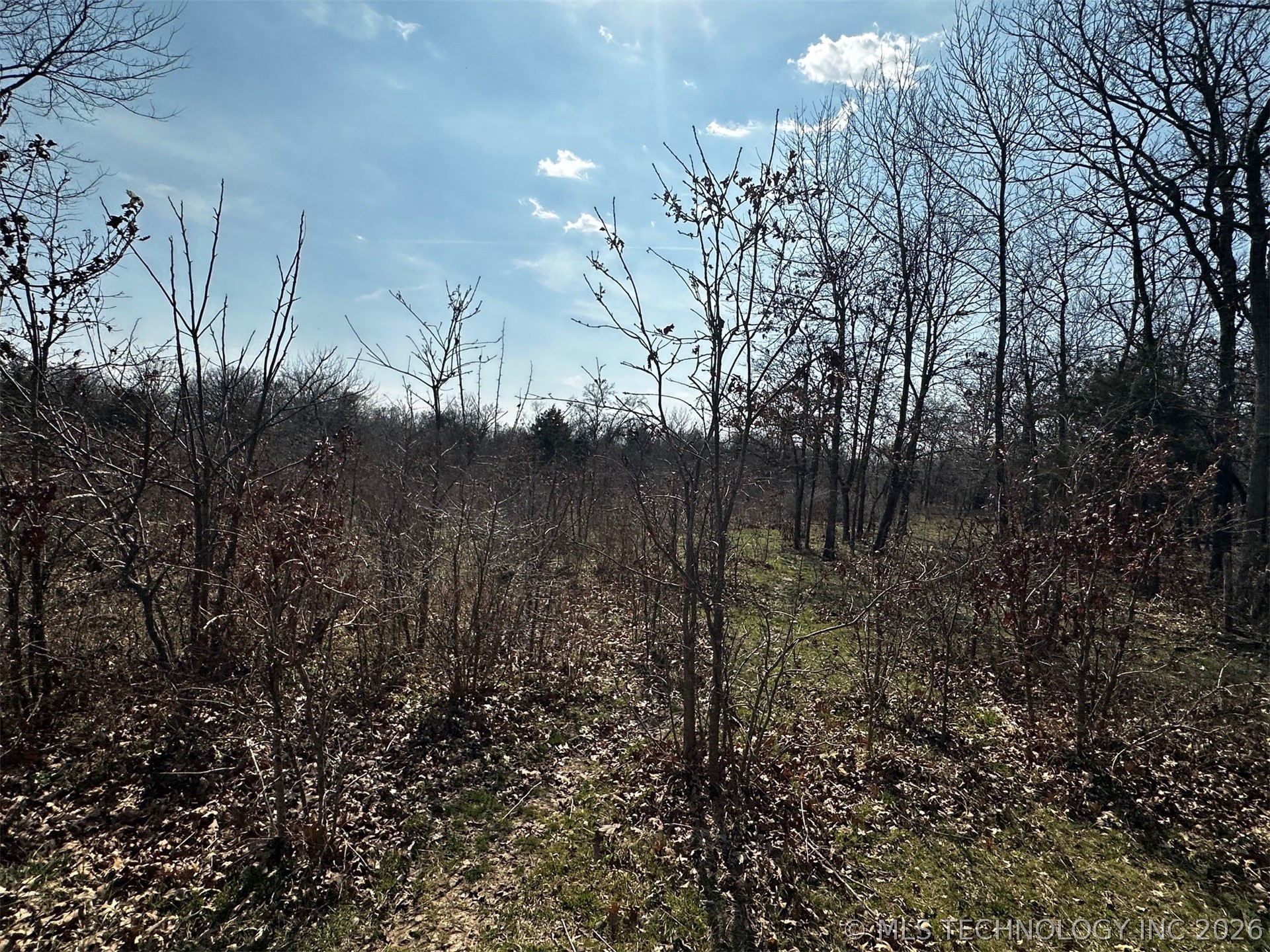 County Road 3680 Property Photo 27