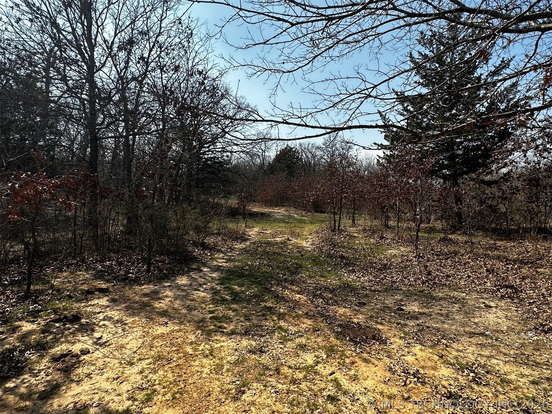 County Road 3680 Property Photo 29