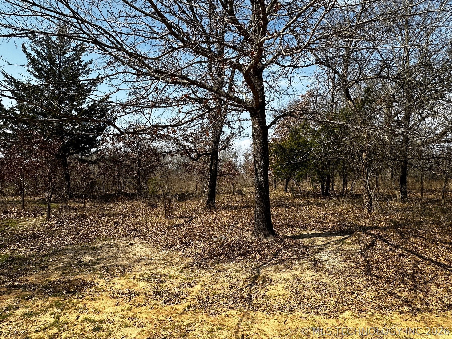County Road 3680 Property Photo 31
