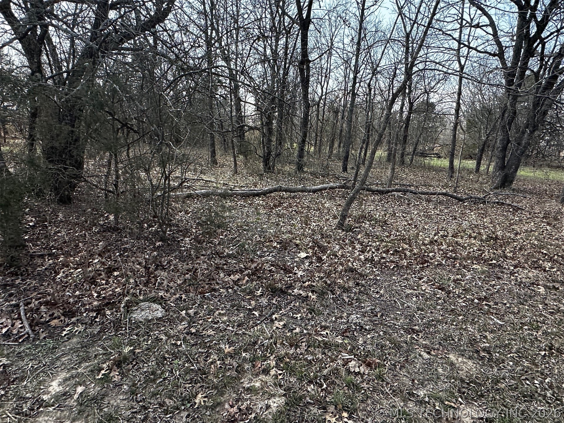 County Road 3680 Property Photo 33