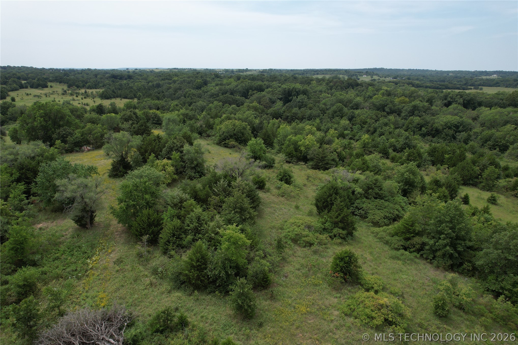 2606977 Property Photo 2