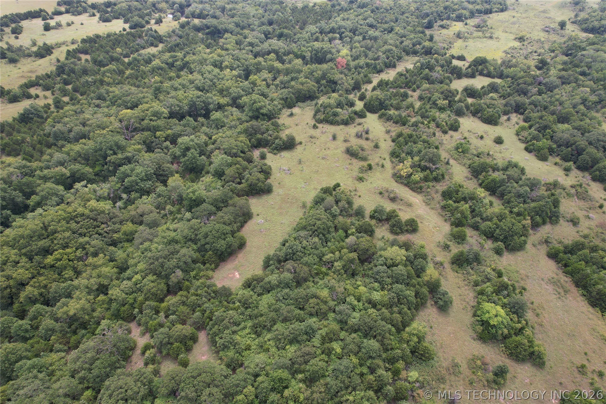 2606977 Property Photo 5
