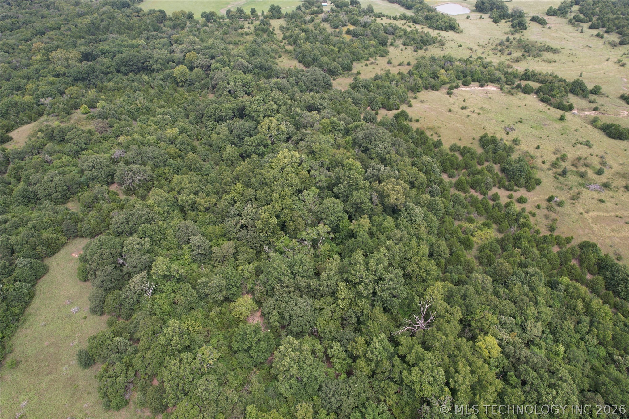 2606977 Property Photo 6