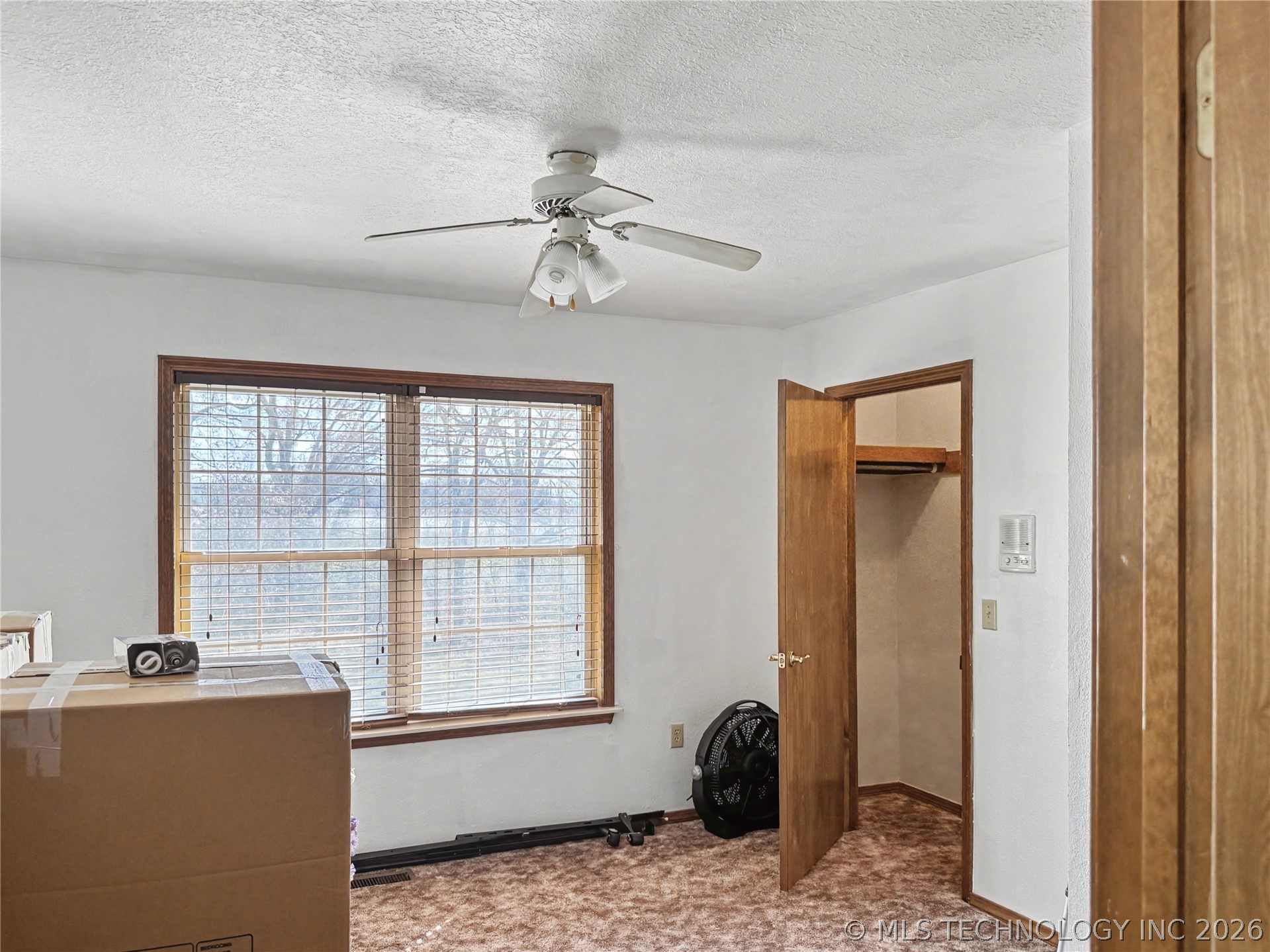 5273 Jeanette Lane Property Photo 21