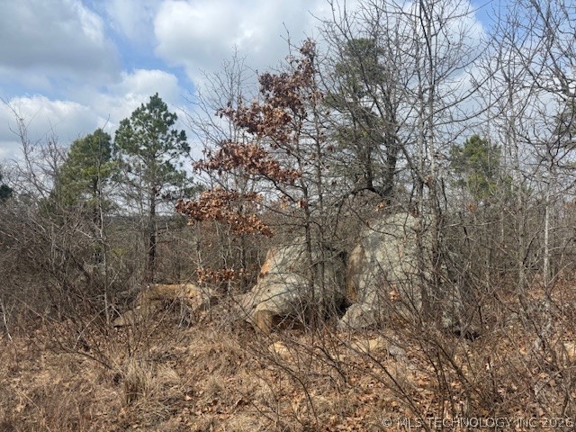 E 1732 Road Property Photo 2