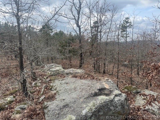 E 1732 Road Property Photo 5