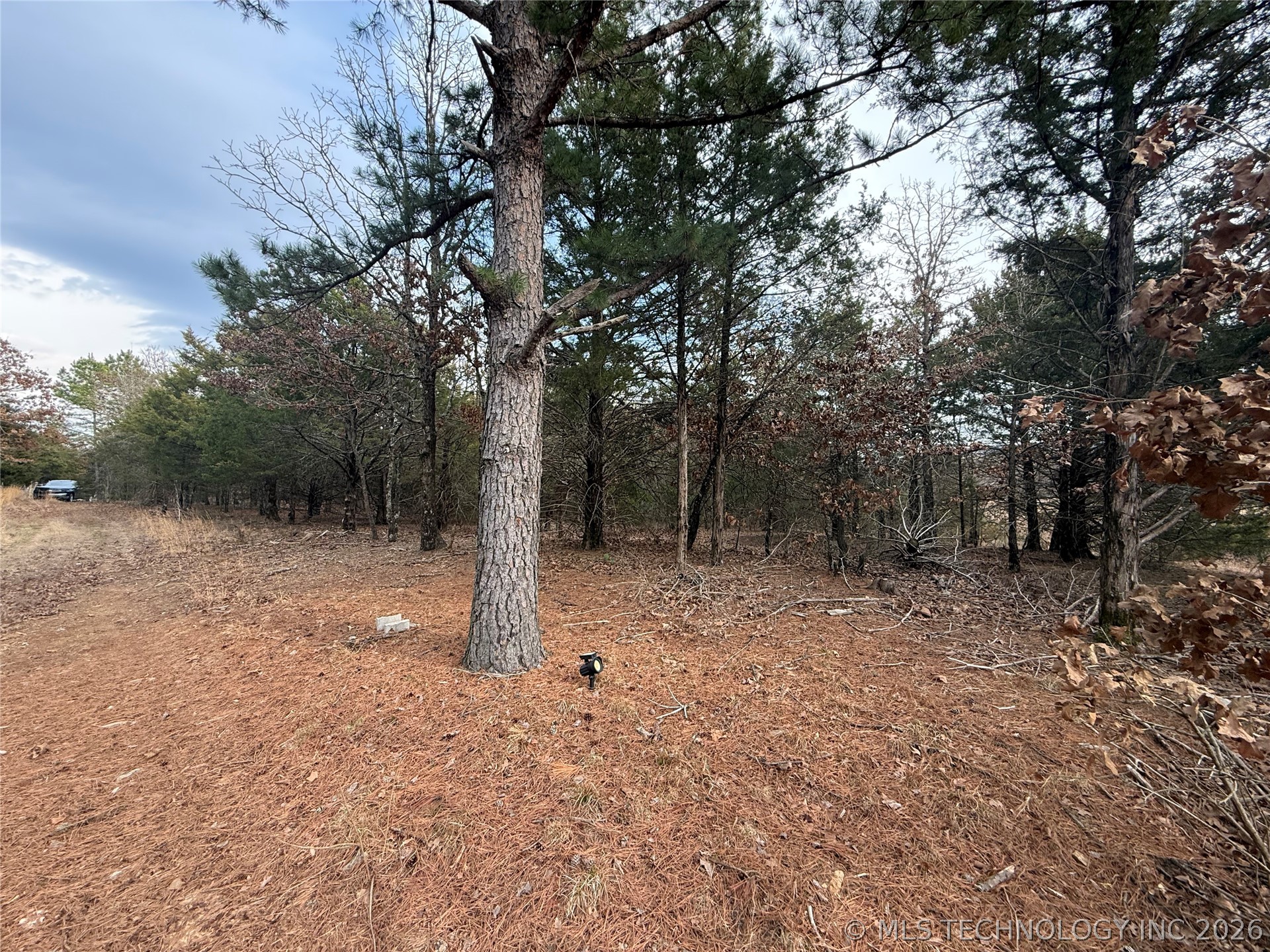 Calhoun Road Property Photo 4