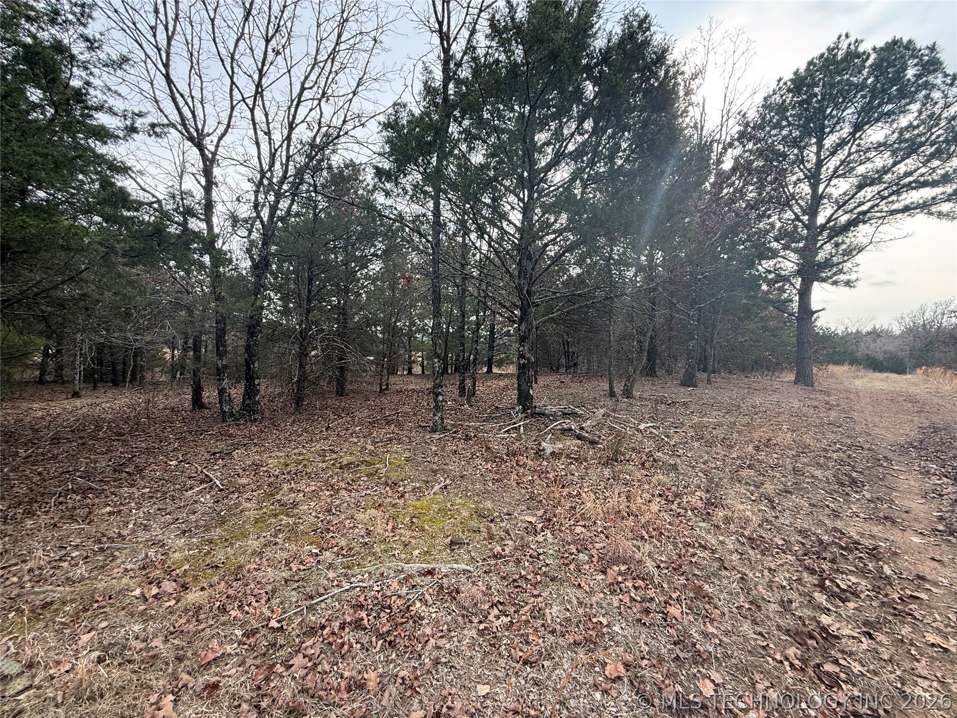 Calhoun Road Property Photo 5