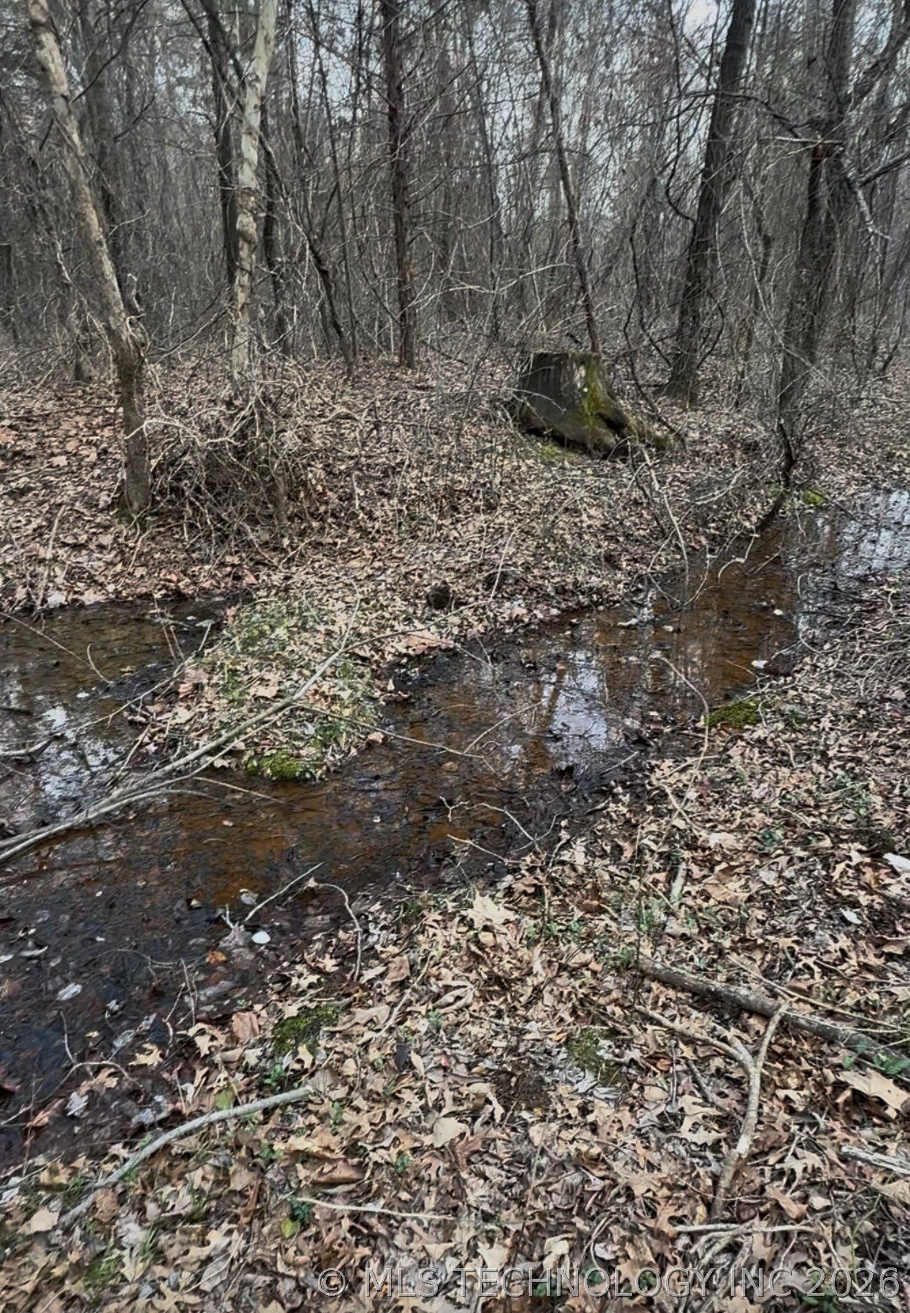 Calhoun Road Property Photo 7